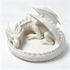 Keep Your Jewelry Guarded By A Majestic Dragon Instantly! 🐉✨