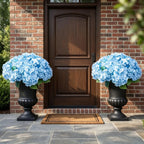 Turn Your Porch Into A Vibrant, Luxury Garden Instantly! 🌸✨