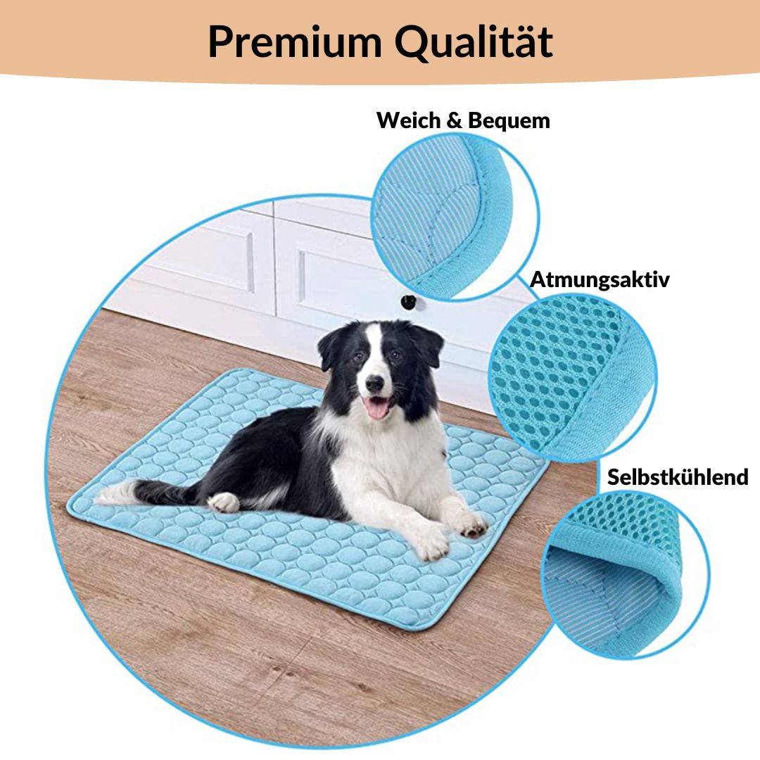 🐶 🐱Save Your Pet From Summer Heat! 🧊
