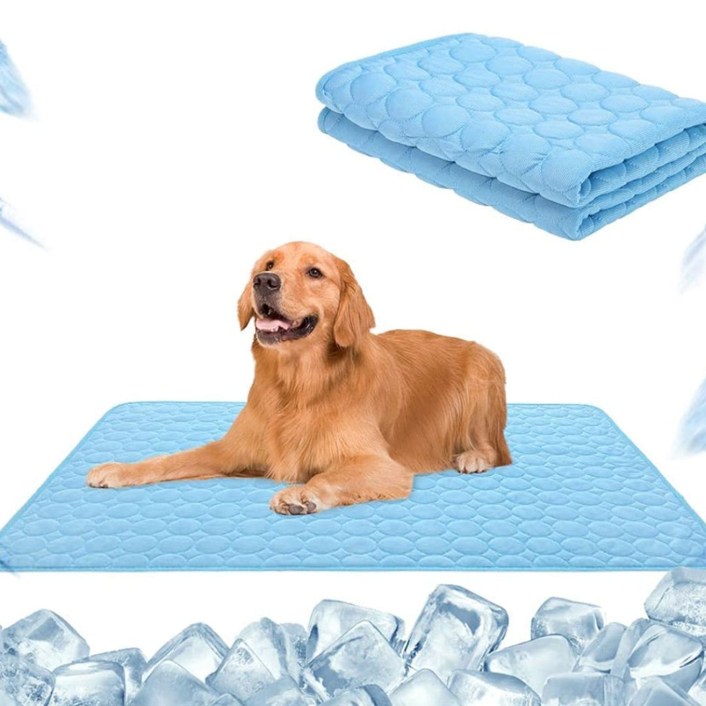 🐶 🐱Save Your Pet From Summer Heat! 🧊