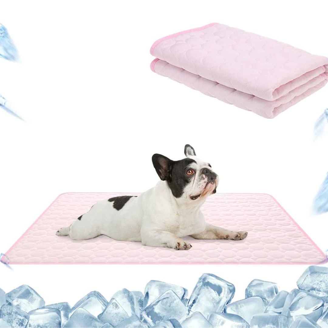 🐶 🐱Save Your Pet From Summer Heat! 🧊