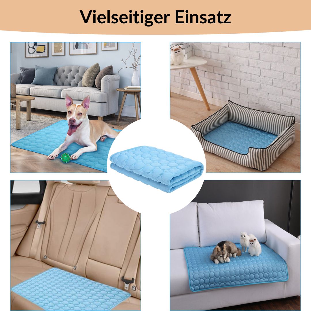 🐶 🐱Save Your Pet From Summer Heat! 🧊