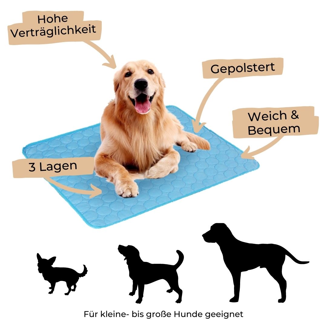 🐶 🐱Save Your Pet From Summer Heat! 🧊